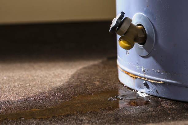 Best Basement water damage restoration  in Foscoe, NC