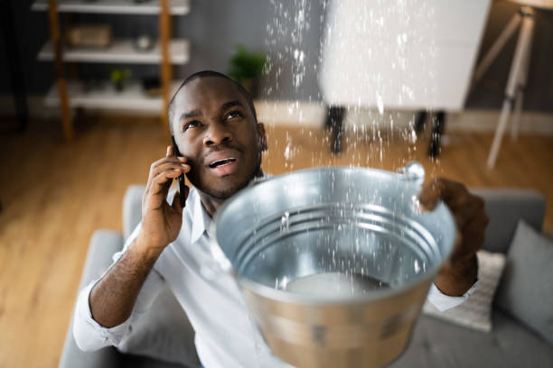 Best Ceiling water damage repair  in Foscoe, NC