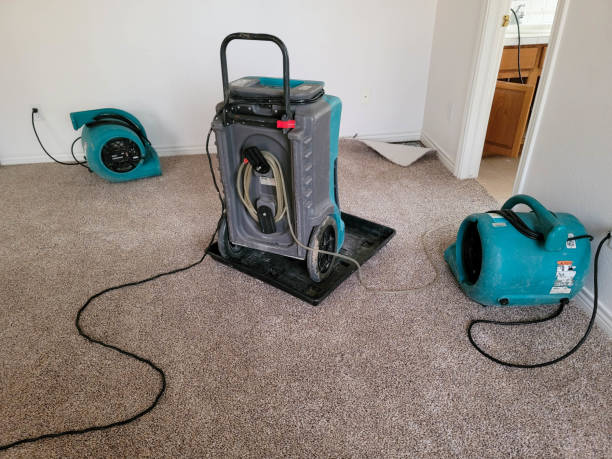 Best Water damage restoration experts  in Foscoe, NC