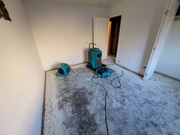 Best Ceiling water damage repair  in Foscoe, NC