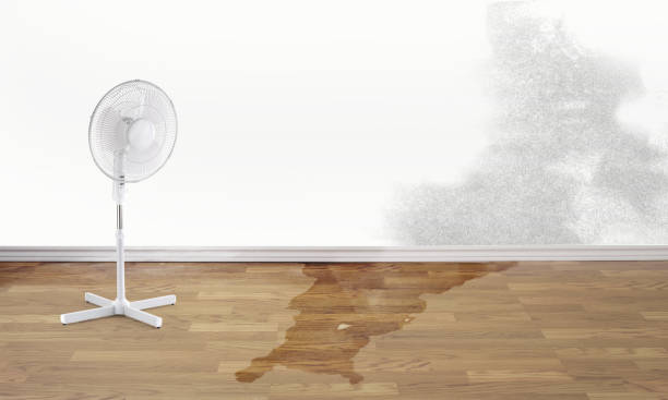 Best Water damage repair service  in Foscoe, NC