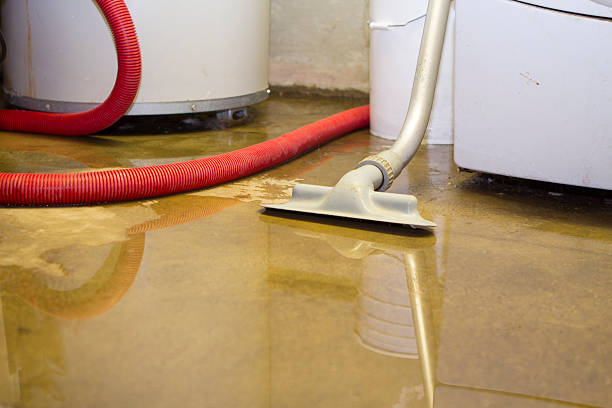 Best Fire Damage Restoration  in Foscoe, NC