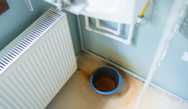Best Water damage cleanup near me  in Foscoe, NC